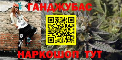 СК Гатчина