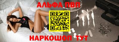 СК Гатчина