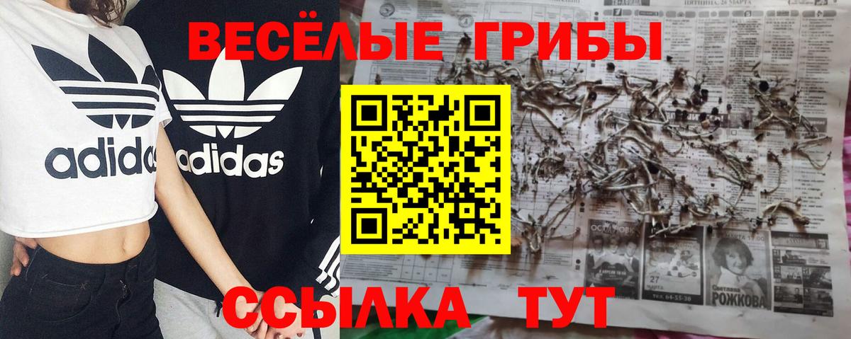 Галлюциногенные грибы GOLDEN TEACHER  Вход с VPN  Галлюциногенные грибы GOLDEN TEACHER  Свободный 